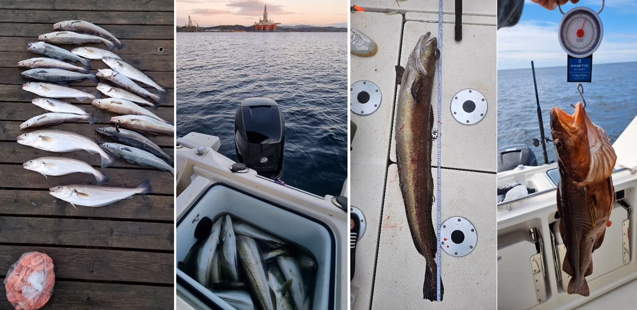Fisketurer