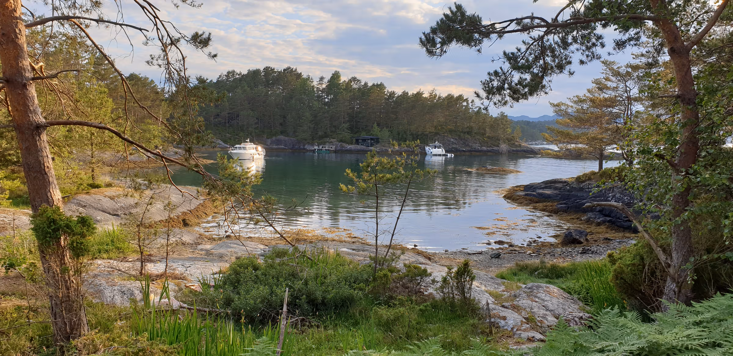 Hardangerfjorden (flerdags cruise)