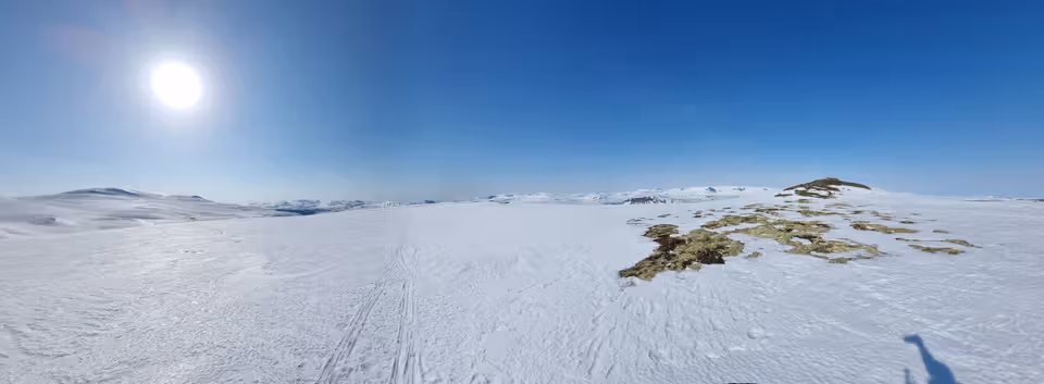 Hytteutleie