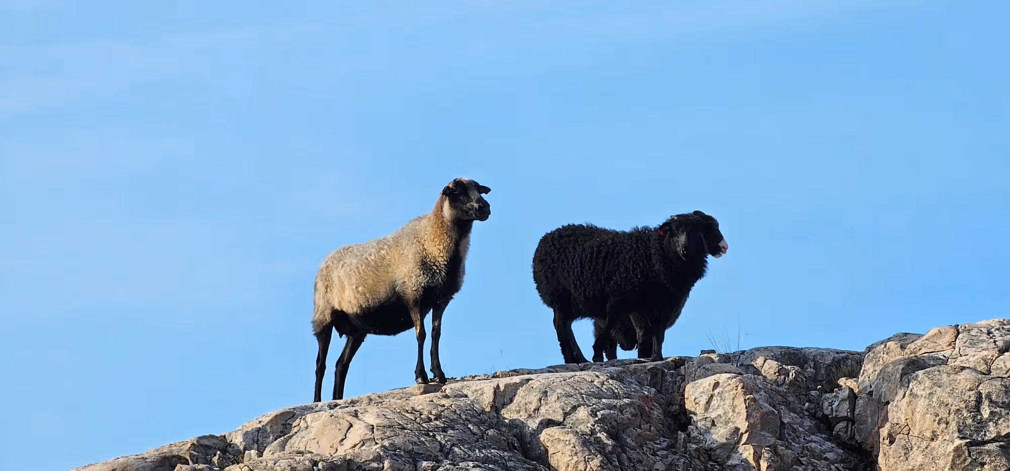 Øygarden & åpent hav