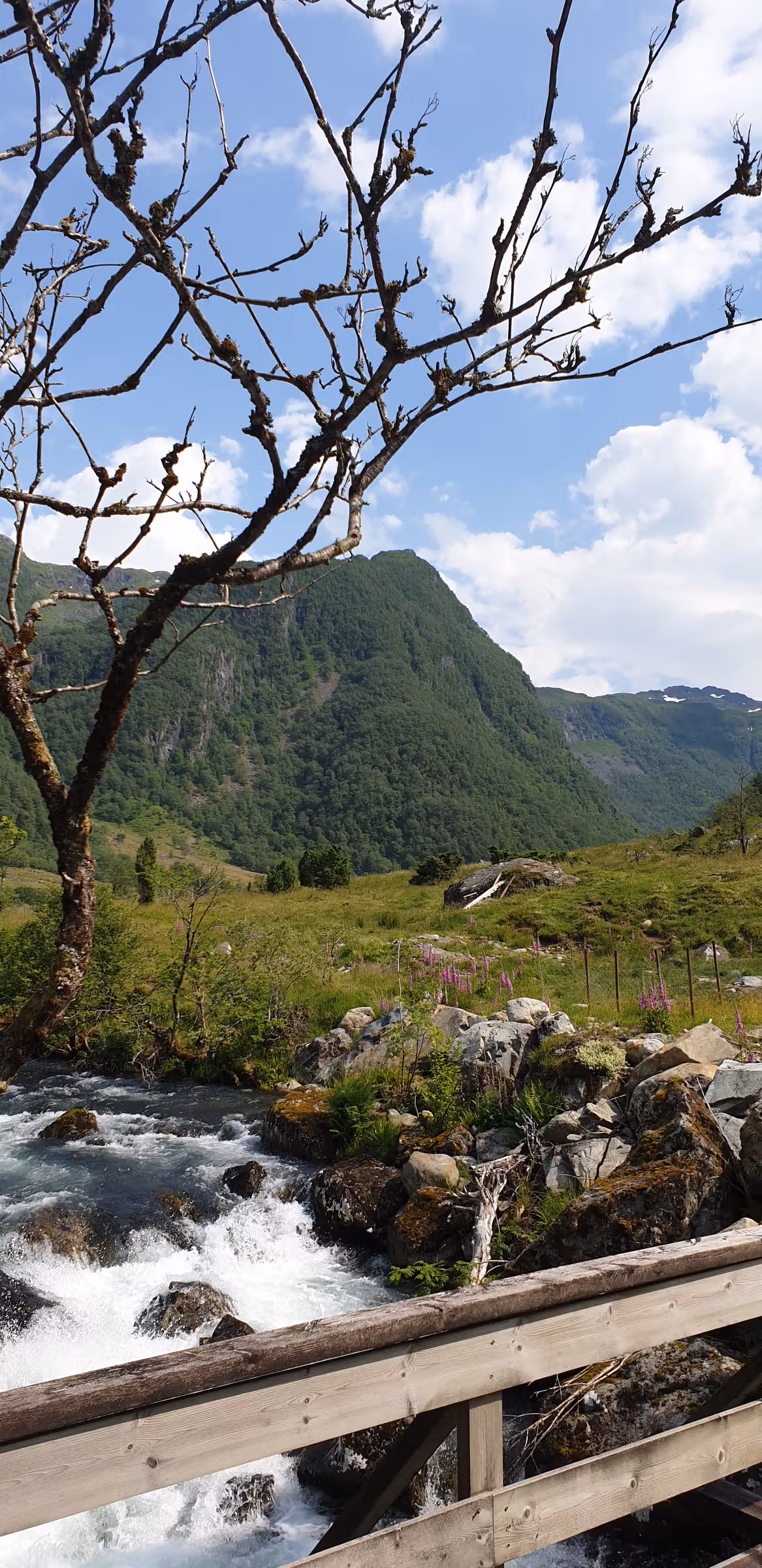 Hardangerfjorden (flerdags cruise)