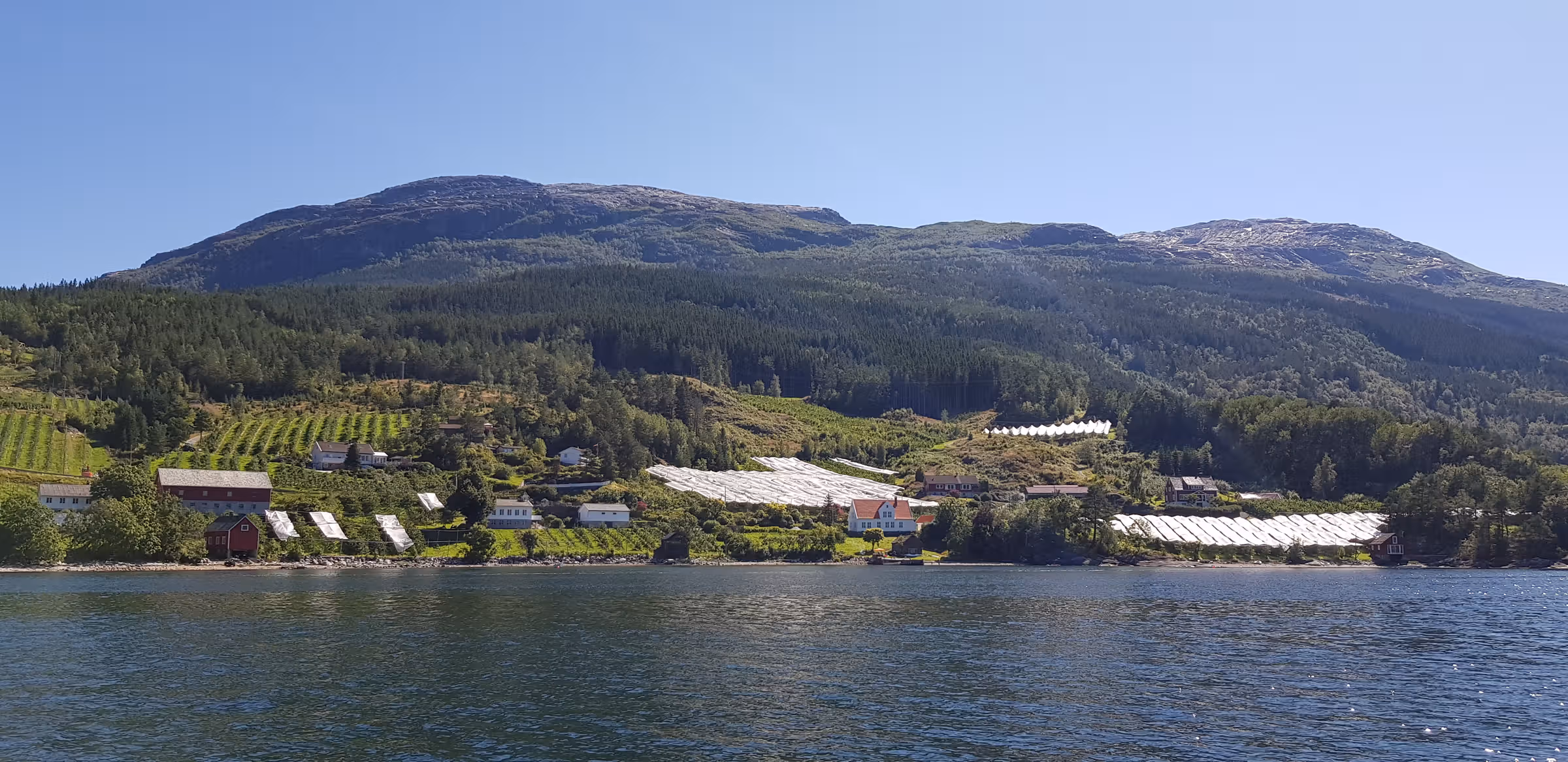Hardangerfjorden (flerdags cruise)