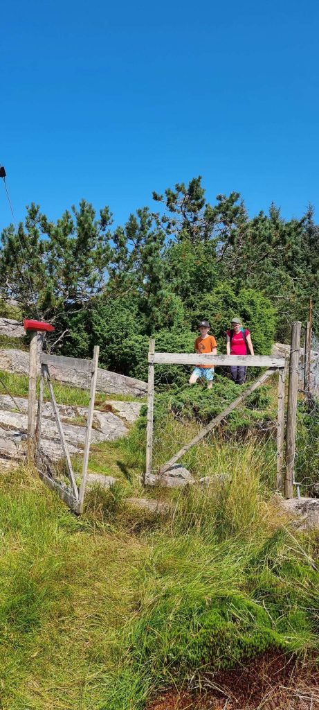 Hjeltefjorden privatcruise og ole (11)