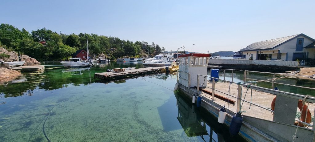 Hjeltefjorden privatcruise og ole (5)